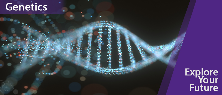 Double Helix Structure - Genetics